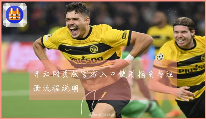 开云网页版官方入口使用指南与注册流程说明
